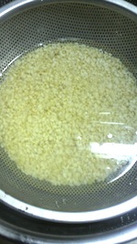 発芽玄米 放置